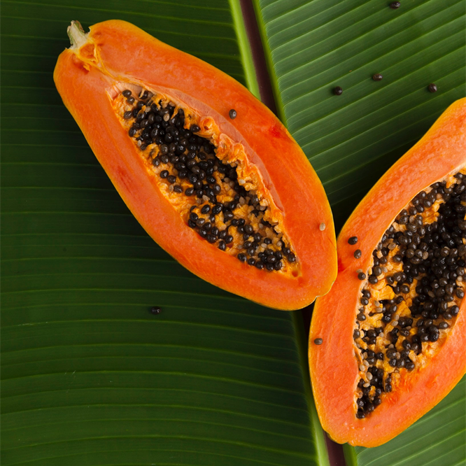 Fruit Plants