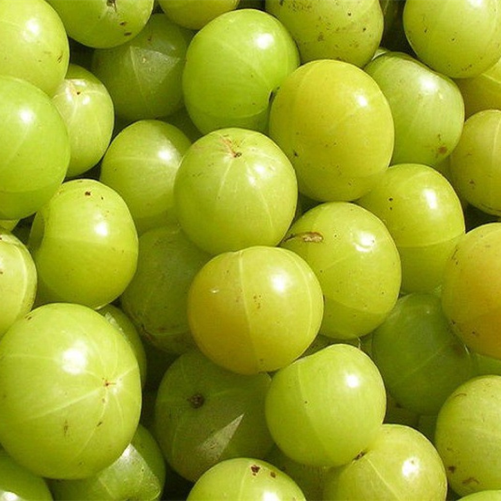 Aamla