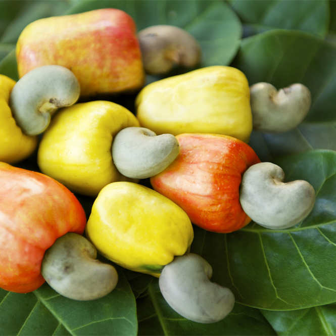Cashew