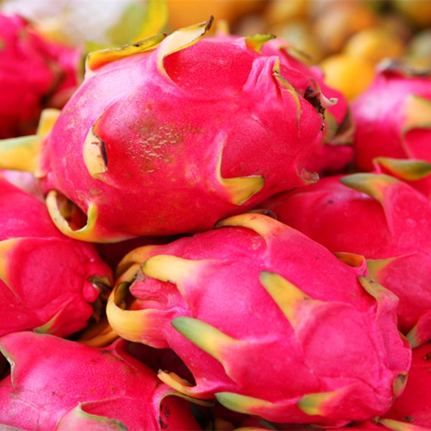 Dragon Fruit