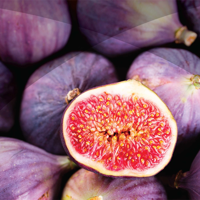Fig