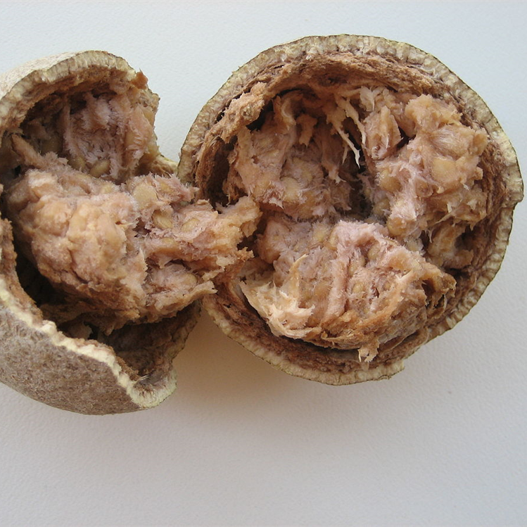 Indian Wood Apple