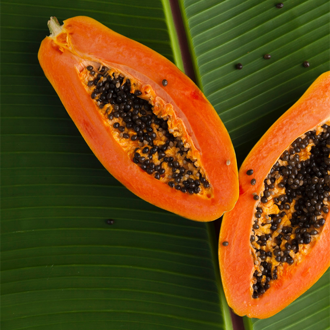 Papaya