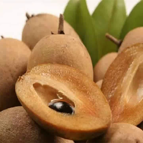 Chikoo