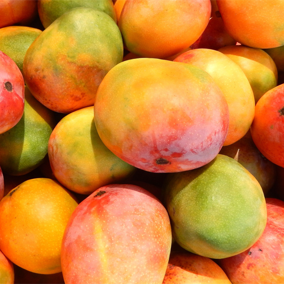 Mango